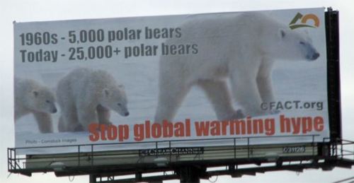 polarbear_billboard